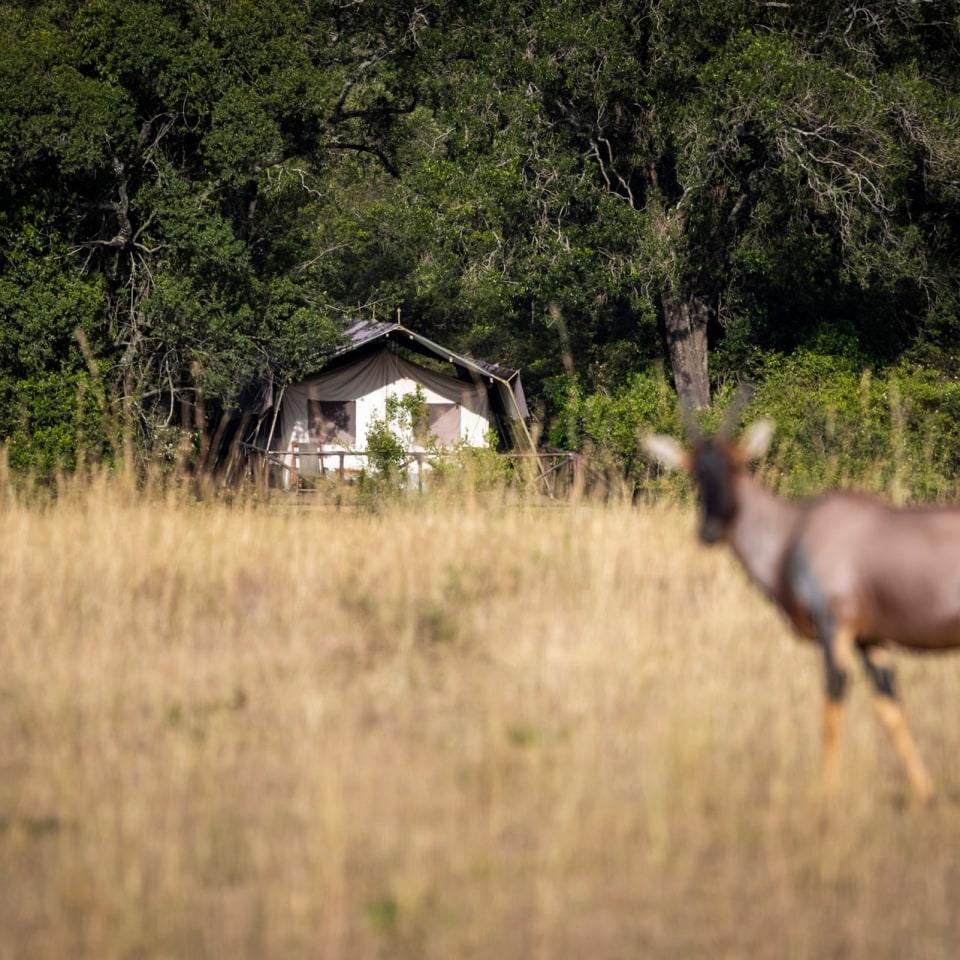 Matira Bush Camp